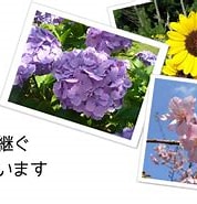 Image result for 千葉県山武市早船. Size: 178 x 136. Source: www.nekonote.pw