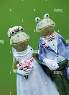 Image result for Frog Married Pallipudupet. Size: 135 x 185. Source: www.alamy.com