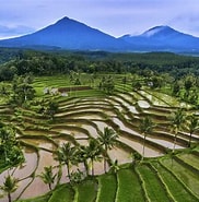 Image result for Beji, Västra Java, Indonesien. Size: 182 x 185. Source: www.travelbook.de