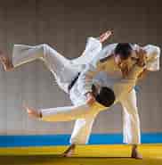 Billedresultat for World Dansk sport kampsport japansk Judo. størrelse: 182 x 185. Kilde: www.japanwelt.de