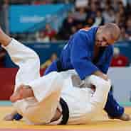 Image result for Judo. Size: 184 x 185. Source: www.paralympic.org