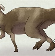 Image result for Balassa Saurus. Size: 181 x 156. Source: a-dinosaur-a-day.com