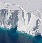 Image result for "arctapodema Antarctica". Size: 181 x 185. Source: www.cnet.com