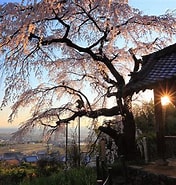 京都府 地蔵禅寺 に対する画像結果.サイズ: 176 x 185。ソース: photograph.pro