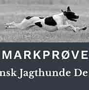 Image result for World Dansk Fritid Husdyr Hunde Racer drivende jagthunde og Schweisshunde Dalmatiner. Size: 183 x 181. Source: www.pointerklub.dk