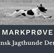 Billedresultat for World Dansk Fritid Husdyr hunde racer Apporterende Jagthunde Klubber. størrelse: 189 x 181. Kilde: www.pointerklub.dk