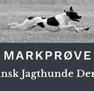 Image result for World Dansk Fritid Husdyr hunde racer Apporterende Jagthunde Klubber. Size: 191 x 181. Source: www.pointerklub.dk