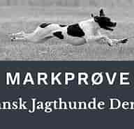 Image result for World Dansk Fritid Husdyr hunde racer stående Jagthunde Pointer. Size: 192 x 181. Source: www.pointerklub.dk