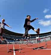 Image result for World Dansk sport Atletik. Size: 171 x 185. Source: www.dif.dk