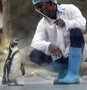 Penguin India ಗಾಗಿ ಇಮೇಜ್ ಫಲಿತಾಂಶ. ಗಾತ್ರ: 178 x 185. ಮೂಲ: indianexpress.com