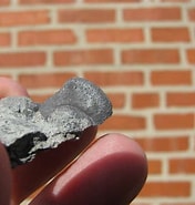 Image result for "amphilithium Concretum". Size: 176 x 185. Source: viewsofthemahantango.blogspot.com