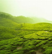 Afbeeldingsresultaten voor Landschappen in India. Grootte: 176 x 185. Bron: www.photojaanic.com