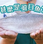 Image result for 虱目魚 Wikipedia. Size: 181 x 127. Source: www.mrfish.com.hk