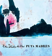 Peter Doherty and The Puta Madres के लिए छवि परिणाम. आकार: 174 x 185. स्रोत: toutelaculture.com