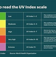 Image result for UV Index Explained. Size: 181 x 185. Source: windy.app