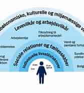 Image result for World Dansk Sundhed sygdomme og Lidelser neurologiske Epilepsi. Size: 167 x 185. Source: www.sdcc.dk