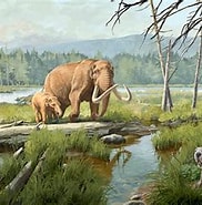 Risultato immagine per Pleistocene Wikipedia. Dimensioni: 182 x 178. Fonte: www.pinterest.jp