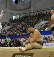 "world Sumo Championships" కోసం చిత్ర ఫలితం. పరిమాణం: 175 x 185. మూలం: thediplomat.com