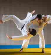 Image result for World Dansk sport kampsport Japansk Jiu Jitsu. Size: 173 x 185. Source: www.ju-jutsu-sachsen.de