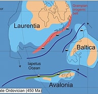 Image result for "fabriciola Baltica". Size: 193 x 185. Source: www.researchgate.net