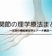 Image result for 足の構造と機能研究会. Size: 170 x 185. Source: forphysicaltherapist.com