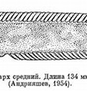 Image result for Anisarchus medius Familie. Size: 176 x 86. Source: www.fishbiosystem.ru