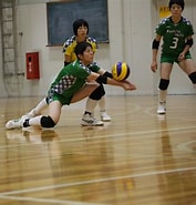 バレーボール レセプション に対する画像結果.サイズ: 177 x 185。ソース: volleyball-schools.com