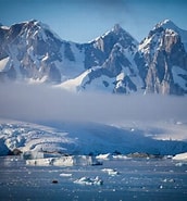 Résultat d’image pour "oncaea Antarctica". Taille: 172 x 185. Source: explorerspassage.com