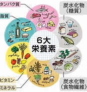 魅力在線脂肪平衡栄養素 に対する画像結果.サイズ: 175 x 185。ソース: ourage.jp