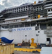 Image result for Princess Cruises Fondata Da. Size: 176 x 185. Source: cruisefever.net