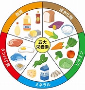 魅力在線脂肪平衡栄養素 に対する画像結果.サイズ: 175 x 185。ソース: www.ichigojyutsu.com