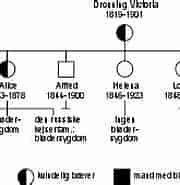 Image result for genetiske sygdomme. Size: 180 x 119. Source: denstoredanske.lex.dk