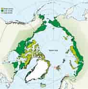 Image result for World Dansk Regional Polarområderne Arktis. Size: 183 x 185. Source: framsenteret.no