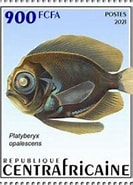 Image result for Platyberyx opalescens. Size: 133 x 185. Source: colnect.com