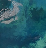 Afbeeldingsresultaten voor Macaronesië eiland. Grootte: 177 x 185. Bron: www.naar-kaapverdische-eilanden.nl