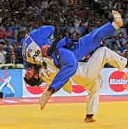 Image result for Judo. Size: 184 x 185. Source: www.karatecollection.com