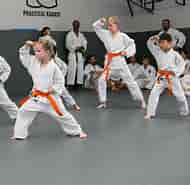 Bildresultat för Karate. Storlek: 190 x 185. Källa: www.practicalkarate.com