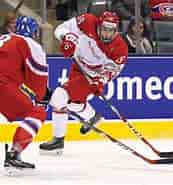 Image result for World Dansk Sport hockey Landhockey. Size: 173 x 185. Source: thehockeynews.com