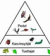Image result for World Suomi Tiede Luonnontieteet Biologia. Size: 166 x 185. Source: www.pinterest.com