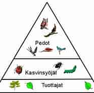 Kuvatulos haulle World Suomi Tiede Luonnontieteet Biologia Ekologia. Koko: 186 x 185. Lähde: www.pinterest.com