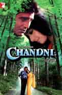 Image result for Hindi movies Chandni. Size: 122 x 185. Source: www.imdb.com