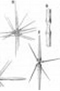 Bildresultat för "acanthocyrta Haeckeli". Storlek: 120 x 82. Källa: www.zoology.bio.spbu.ru