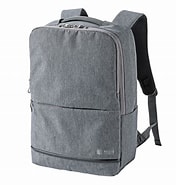 Image result for BAG-BP16GY. Size: 176 x 185. Source: www.sanwa.co.jp