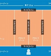 Image result for 女子 バレー コート ネーム コウ. Size: 171 x 166. Source: www.jti.co.jp