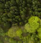 World Dansk erhverv Land- og skovbrug Skovdrift Statsskovdistrikter に対する画像結果.サイズ: 174 x 185。ソース: www.hededanmark.dk