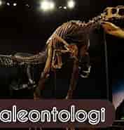 Bildresultat för Paleontologi. Storlek: 177 x 185. Källa: parboaboa.com