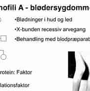 Billedresultat for World Dansk Sundhed sygdomme og lidelser neurologiske genetiske syndromer Turners syndrom. størrelse: 183 x 185. Kilde: quizlet.com