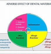 تصویر کا نتیجہ برائے in vitro models For Biocompatibility of Dental Materials. سائز: 174 x 185۔ ماخذ: es.slideshare.net