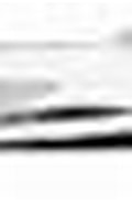 Afbeeldingsresultaten voor Barathronus bicolor. Grootte: 120 x 30. Bron: commons.wikimedia.org