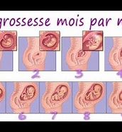 Image result for contraction 3 mois de grossesse. Size: 172 x 185. Source: www.youtube.com